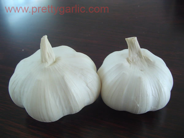 Pure White Garlic Pure White Garlic