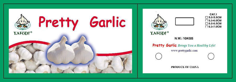 Garlic In Cartons