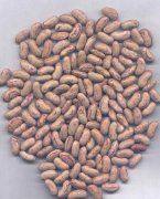 Light speckled kidney beans long shape