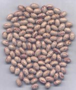 Light speckled kidney beans Mongolia type