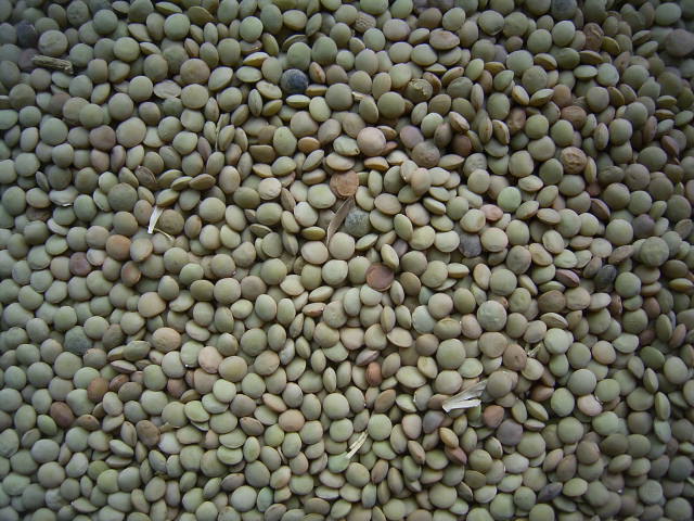 lentils